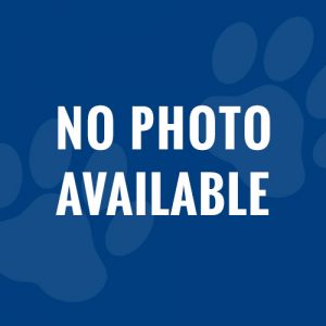 no-photo